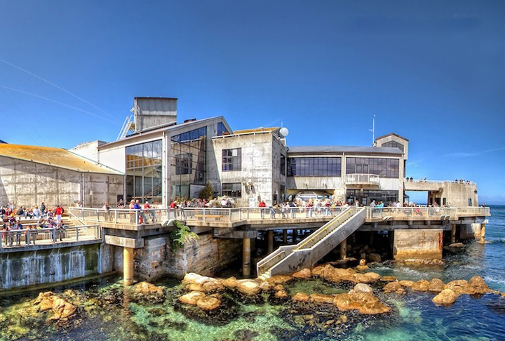 6º lugar - Monterey Bay Aquarium - Fica na cidade de Monterey, na Califórnia (EUA) -  Inaugurado em 1984. 