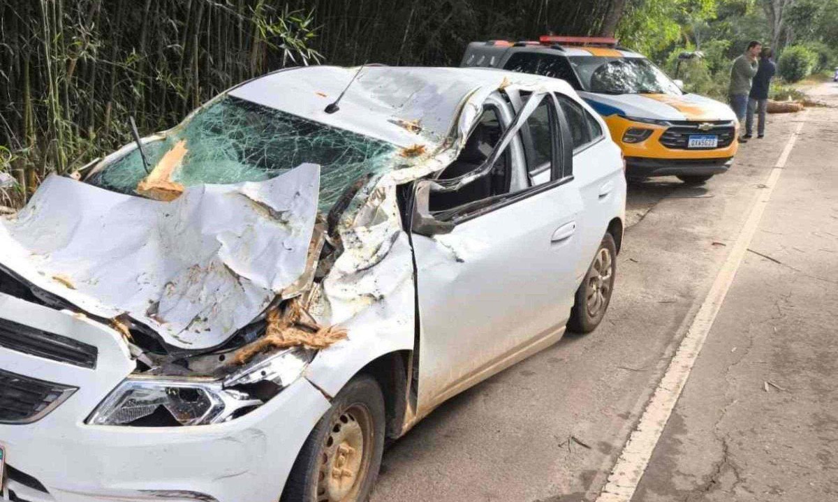 Motorista, de 46 anos, teve traumatismo cranioencefálico moderado -  (crédito: Polícia Militar Rodoviária/Reprodução)