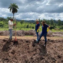 A formação de leiras é uma parte do processo de produção do fertilizante -  (crédito: Divulgação)