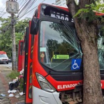 Ônibus metropolitano bate em árvore e deixa 14 feridos em BH - Jair Amaral/EM/D.A Press