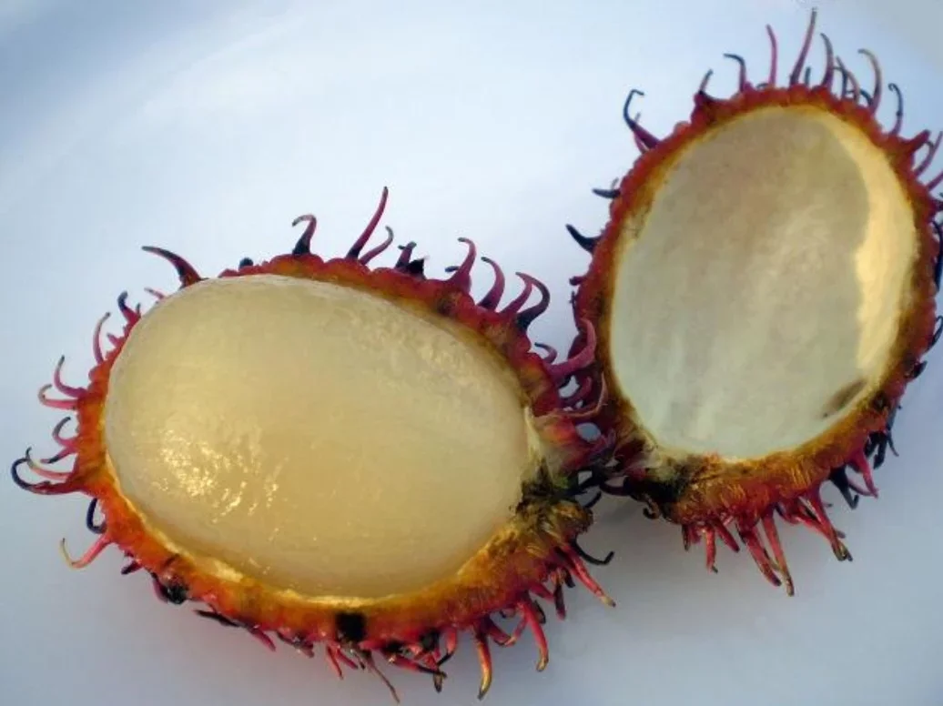 A fruta tem casca espinhosa, de cor vermelha ou amarelada. Geralmente varia de 3 a 6 cm, com forma redonda ou oval .  A polpa é refrescante, suculenta e levemente crocante, com um aroma agradável.
