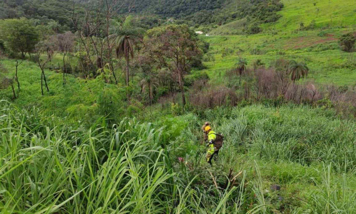 Homem e mulher se acidentam após caminhonete cair em desnível de 50 m na lateral da BR-381 -  (crédito: Divulgação/CBMMG)