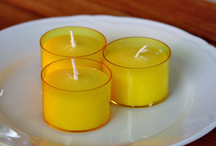 Uma vela de citronela costuma ser indicada para a prevenção da entrada de abelhas em casa. E a citronela é famosa, principalmente, por seus óleos essenciais que afastam insetos, incluindo as abelhas.