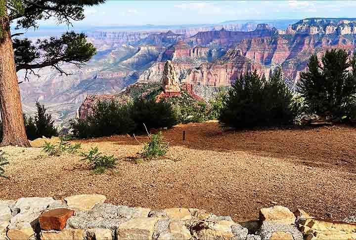 Além de sua importância geológica, o Grand Canyon abriga uma rica biodiversidade, com condições favoráveis para o desenvolvimento de diversas espécies de plantas e animais.