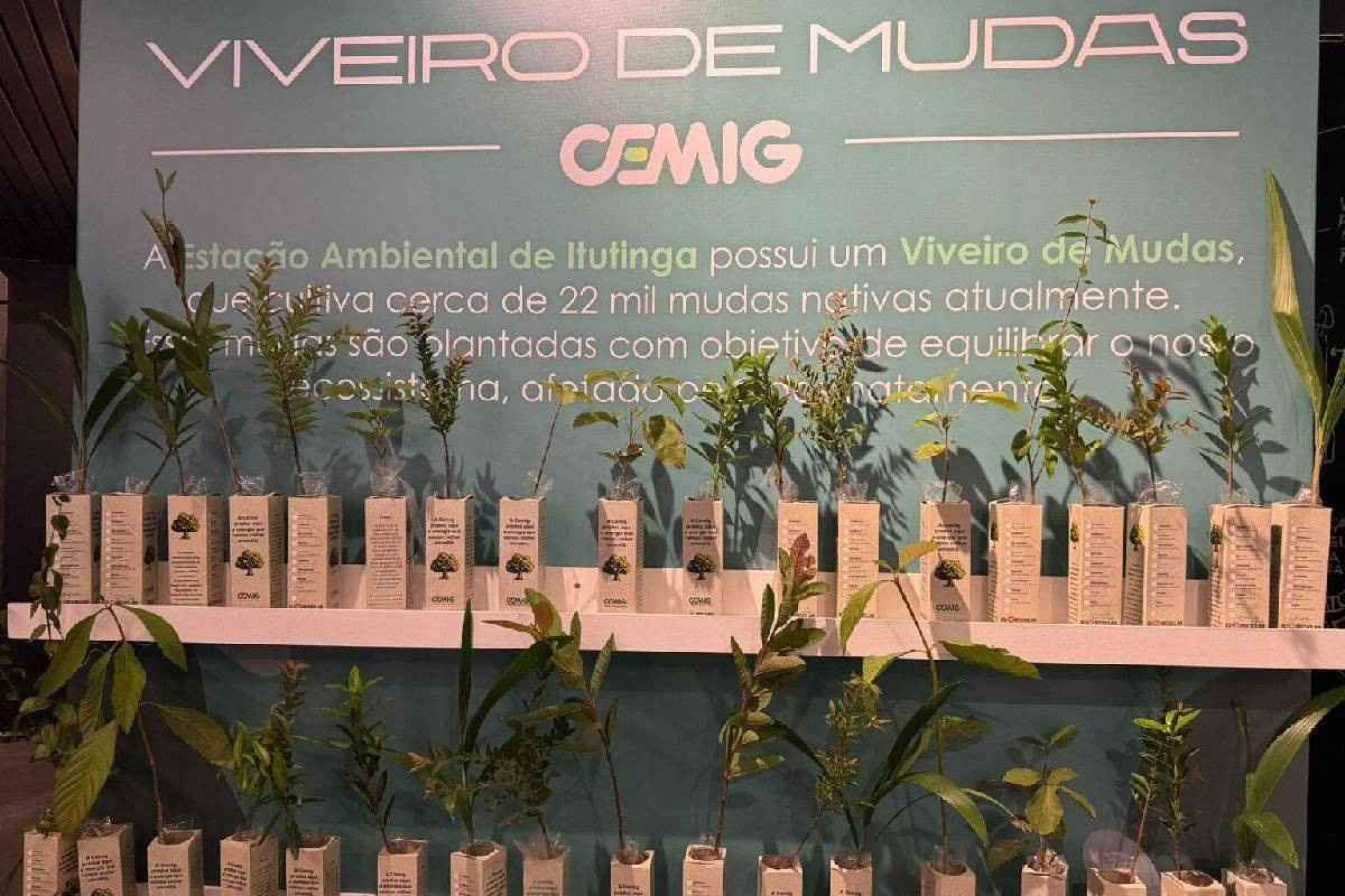 Entre as ações que cumprem a agenda ESG da Cemig está o EcoCiente, que firma o compromisso da Cemig com a educação ambiental e a sustentabilidade