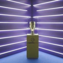 Copinha-2025. Confira todos os times e grupos da competição - Divulgação FPF