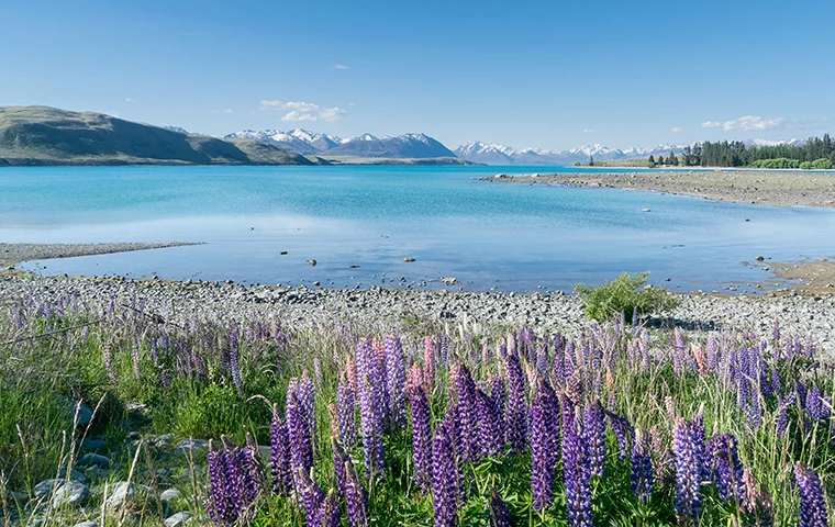 O Lago Tekapo é o segundo maior dos três lagos na borda norte da Bacia Mackenzie, na Ilha Sul da Nova Zelândia. São 83 quilômetros quadrados,  710 metros acima do nível do mar.