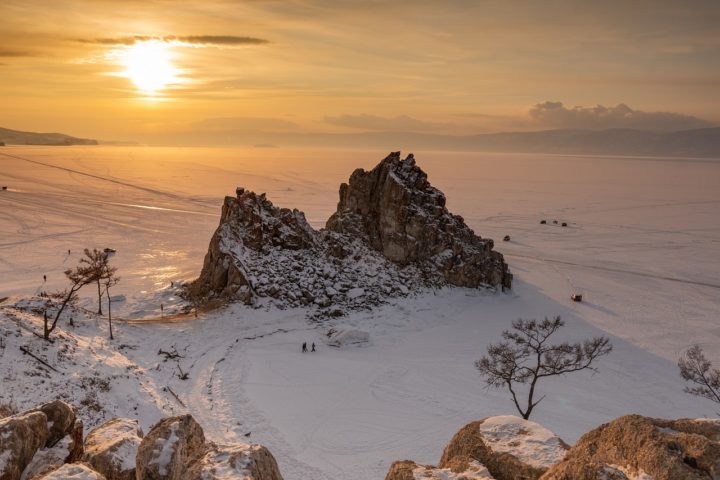 A Sibéria, lugar que dá nome a essas espécies, é conhecida por suas paisagens inóspitas, climas extremos e uma rica diversidade natural. 