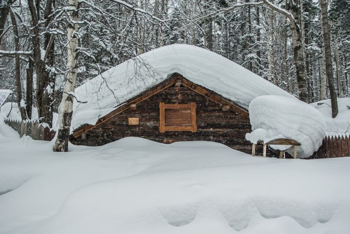 O clima siberiano é caracterizado por invernos extremamente frios, com temperaturas que podem chegar a -50°C em algumas áreas, e verões curtos e frescos.