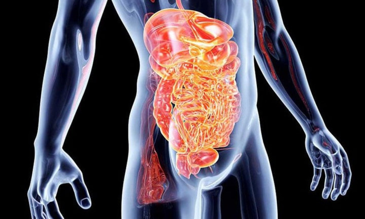 Na doença de Crohn, o sistema imunológico das pessoas responde de forma anormal a substâncias no intestino, causando inflamação e úlceras. -  (crédito: Antônio Augusto - Flickr)