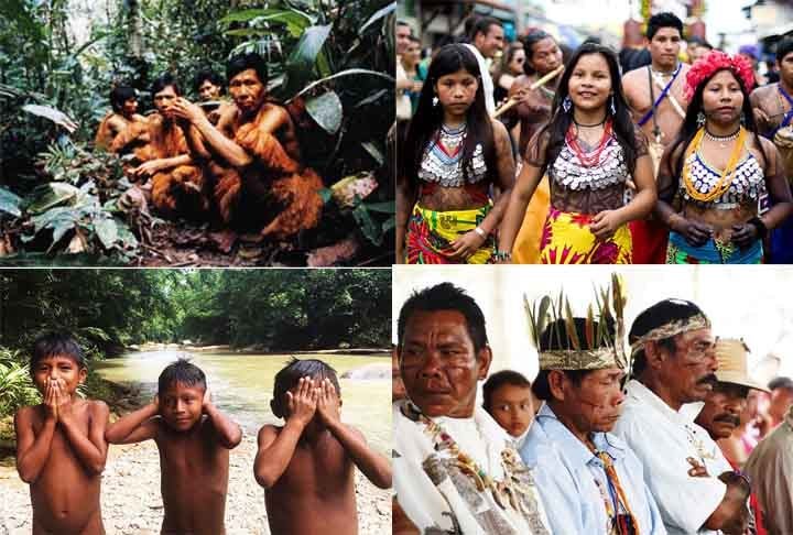 América do Sul
Colômbia: Há mais de 80 povos indígenas reconhecidos, como Wayuu, Embera, Kogi e Arhuaco. Muitos vivem na Amazônia e na Serra Nevada de Santa Marta, onde preservam suas culturas. A luta pelos direitos à terra é um tema constante, dada a exploração de recursos naturais.
