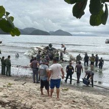 Criança é resgatada em acidente de avião em Ubatuba; veja vídeo - Reprodução