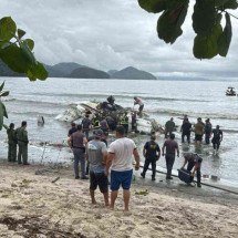 Avião que explodiu em Ubatuba não tinha autorização para táxi aéreo - Reprodução/X