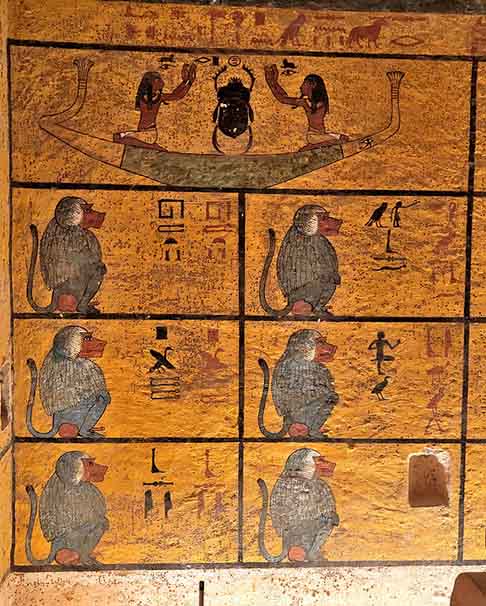 Em contrapartida, o deus Thoth era retratado por um homem que tinha a cabeça de um macaco. Assim, ao averiguar a mística, o babuíno era o animal que mais se assemelhava ao deus do cálculo, da escrita e dos estudos. 