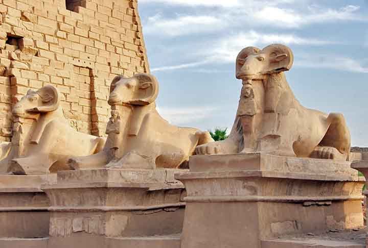 ResponsÃ¡vel por formar os deuses como homens e mulheres, Knum era retratado por um homem com cabeÃ§a de carneiro. Fato que torna o animal simbÃ³lico. 