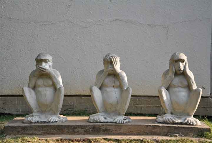 A única espécie de macaco no Japão recebe exatamente o nome do país, que dificilmente é visto pelas cidades porque seu habitat natural fica nas montanhas. Por sinal, influenciou a criação da famosa obra ‘Os três macacos da sabedoria’. Um deles fica com as mãos na boca, outro tapa os ouvidos e o último protege os olhos. 