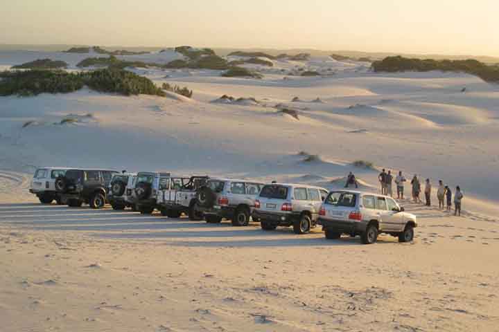 Localiddes nos arredores da Cidade do Cabo tambÃ©m tÃªm atraÃ§Ãµes incrÃ­veis. A 45km da Cidade do Cabo, a Atlantis Dunes Cape Town oferece quadriciclo, sessÃµes de fotos, experiÃªncia 4x4 e Ultimate Sandboarding, alÃ©m de dunas e telefÃ©rico. Outro lugar inspirador Ã© a Kirstenbosch Botanical Gardens, com vÃ¡rias espÃ©cies de plantas. 