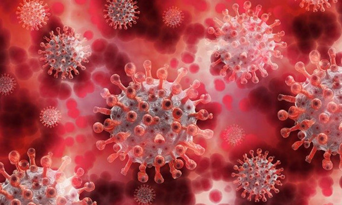 O metapneumovírus humano (HMPV) não é uma descoberta recente e faz parte de uma família de vírus responsáveis por infecções respiratórias já bem conhecidos no meio científico. -  (crédito: Gerd Altmann - Pixabay)