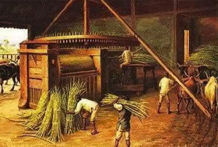 O nome pode ter origem no termo ibÃ©rico 'cachaza', vinho de borra - bebida de qualidade inferior em Portugal e Espanha.