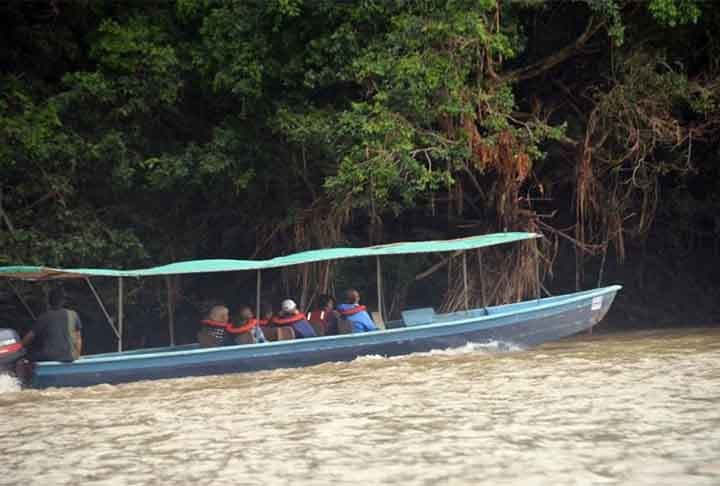 Floresta Amazônica,- Passeios de barco pelos rios da Amazônia, com embarcações que exploram a vasta biodiversidade da região. Cruza-se pela maior floresta tropical do mundo, imersa em fauna e flora exóticas. Ideal para quem deseja vivenciar a natureza intocada.

