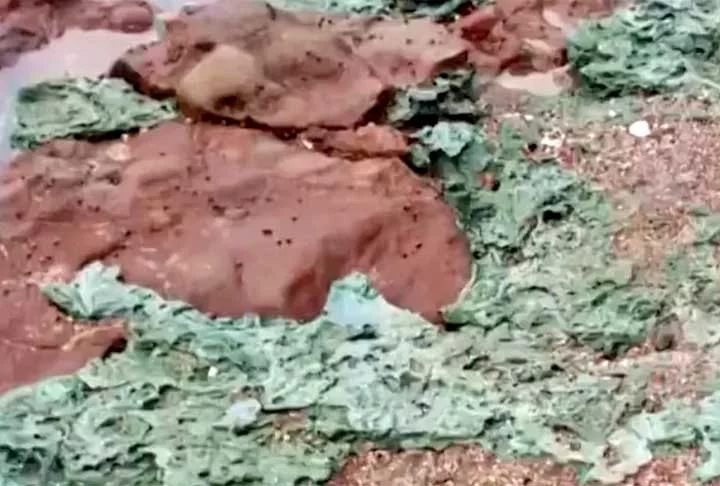 "Rochas de plástico" na Ilha da Trindade; saiba o que é isso - Youtube Canal CAPES_Oficial