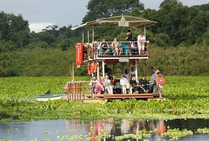 Pantanal, Mato Grosso e Mato Grosso do Sul - O Pantanal é uma das maiores planícies alagáveis do mundo, e navegar pelos rios dessa região proporciona a chance de observar fauna exuberante, como jacarés e aves. O passeio revela uma vegetação única, com grandes áreas de alagamento, além da incrível tranquilidade do local, ideal para quem deseja um contato próximo com a natureza selvagem.