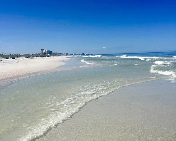 Em 1948, na Flórida,  surgiu a Lenda do Pinguim Gigante. Um ser que habitaria a Praia de Clearwater Beach, numa ilha do Golfo do México, localizada no centro-oeste da Flórida. Mas o tal animal foi inventado por um morador, que enganou o povo na região por muito tempo. -  (crédito:  Stepheneric9  wikimedia commons )