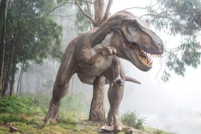 Uma pesquisa recente da revista Science Advances sugere que os dinossauros não foram extintos exclusivamente devido ao impacto de um meteorito.  -  (crédito: Fausto García-Menéndez unplash)