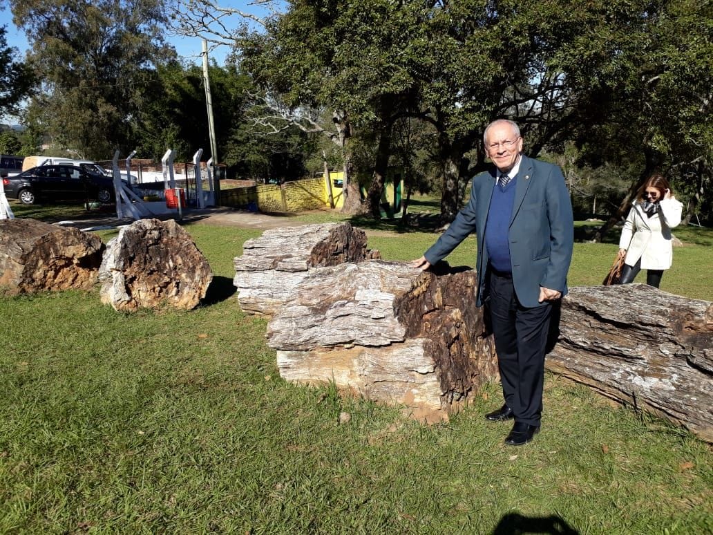 As árvores petrificadas, fossilizadas, do Jardim Paleobotânico da cidade de Mata, são tombadas pelo Patrimônio Histórico do Rio Grande do Sul.