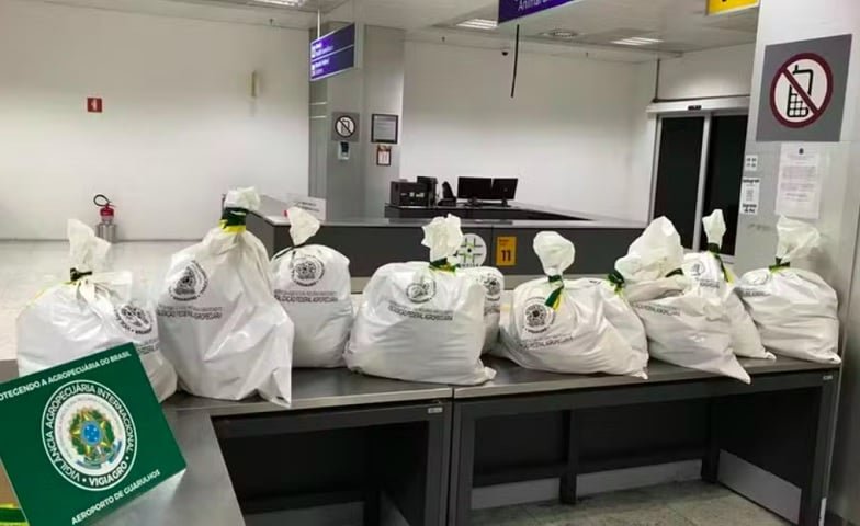 Apreensões inusitadas feitas por fiscais nas fronteiras do Brasil