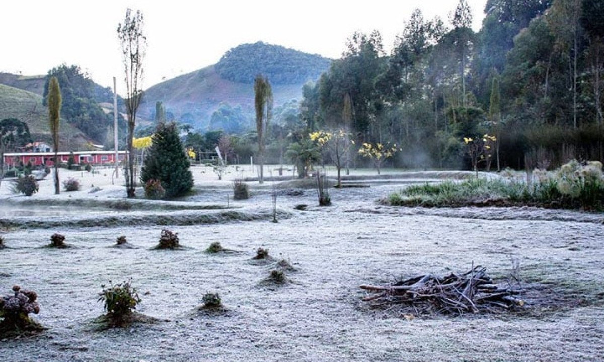 Geadas representam risco para planta&ccedil;&otilde;es  -  (crédito: Site facebook.com/conhecamariadafe)