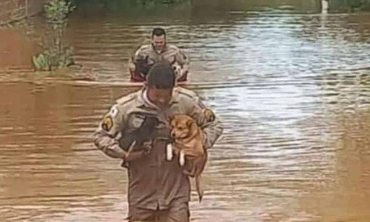 Policiais militares salvam cachorrinhos da enchente em Espinosa -  (crédito: Prefeitura de Espinosa/divulgação)