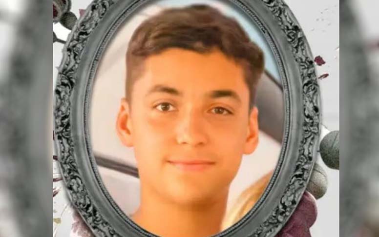 Em 20/12/2021, Max Willyan Gomes, 14 anos, morreu em Alexânia (GO). Ele levou uma descarga elétrica ao usar o celular que estava carregando na tomada, ligado a uma extensão. Segundo a polícia, chovia na hora e um raio ampliou a corrente. 