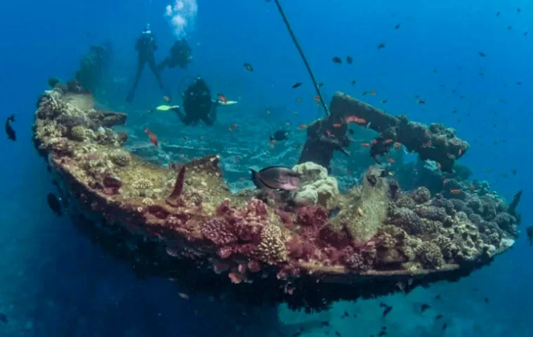 Arqueólogo descobre tesouro de 22 toneladas em navio naufragado em Portugal - reprodução/The Daily Galaxy/Great Discoveries Channel