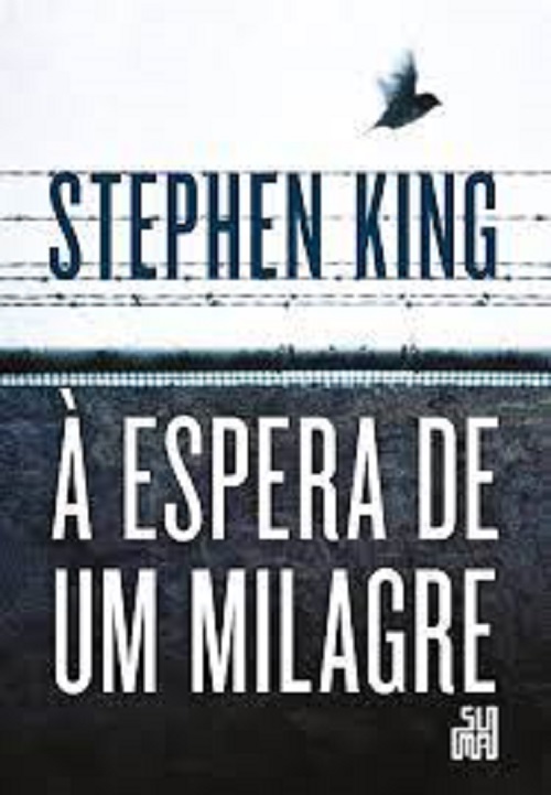  À Espera de um Milagre (1996) -  Paul Edgecombe é o narrador desta emocionante história. Ele lembra do momento em que era guarda da Penitenciária Cold Montain, destinada a presos sentenciados à cadeira elétrica. Tudo muda quando ele conhece John Coffey. 