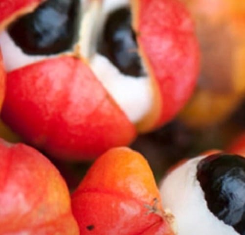 A semente, que é o principal componente utilizado, contém entre 4% e 8% de cafeína, além de outras substâncias benéficas como teobromina e teofilina, que são compostos encontrados também no chocolate e no chá, respectivamente.