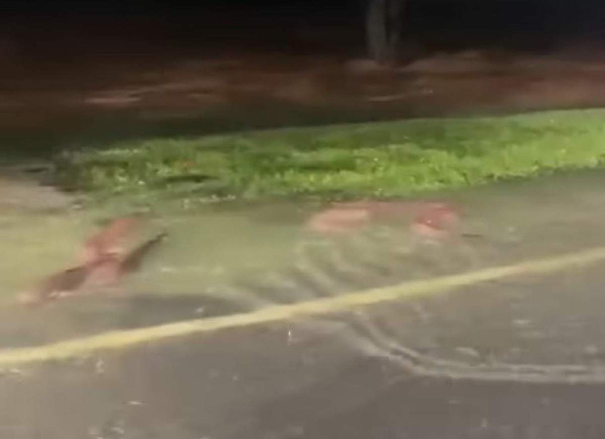 Lagoa transborda em Ipatinga e peixes são flagrados nadando no asfalto