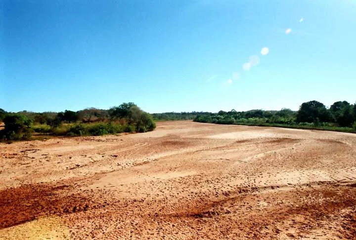 Cidades de clima árido, semiárido e subúmido seco são mais propensas a sofrer com o processo de desertificação. Além do clima local, a ação humana também 