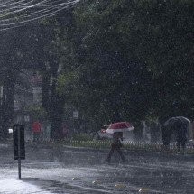 Chuvas intensas continuam: BH e outras 605 cidades estão em alerta do Inmet - Gladyston Rodrigues/EM/D.A.
