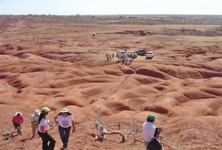 Outro estudo sobre o tema, publicado pelo historiador Dalton Macambira, da Universidade Federal do Piauí, diz que a área afetada pela desertificação mais que dobrou, de 387 para 805 km² de 1976 a 2019, prejudicando cerca de 500 famílias.