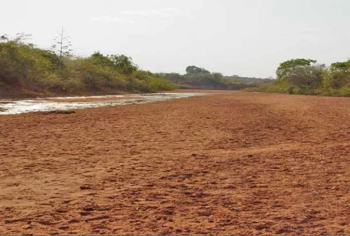 Por conta do aquecimento global, as temperaturas em Gilbués devem aumentar ainda mais. Segundo um estudo do Painel Intergovernamental sobre Mudanças Climáticas, a tempertura deve subir até 2,5 graus celsius.