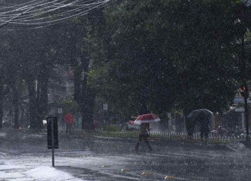 O volume de chuva pode chegar a 50 mm por dia -  (crédito: Gladyston Rodrigues/EM/D.A.)