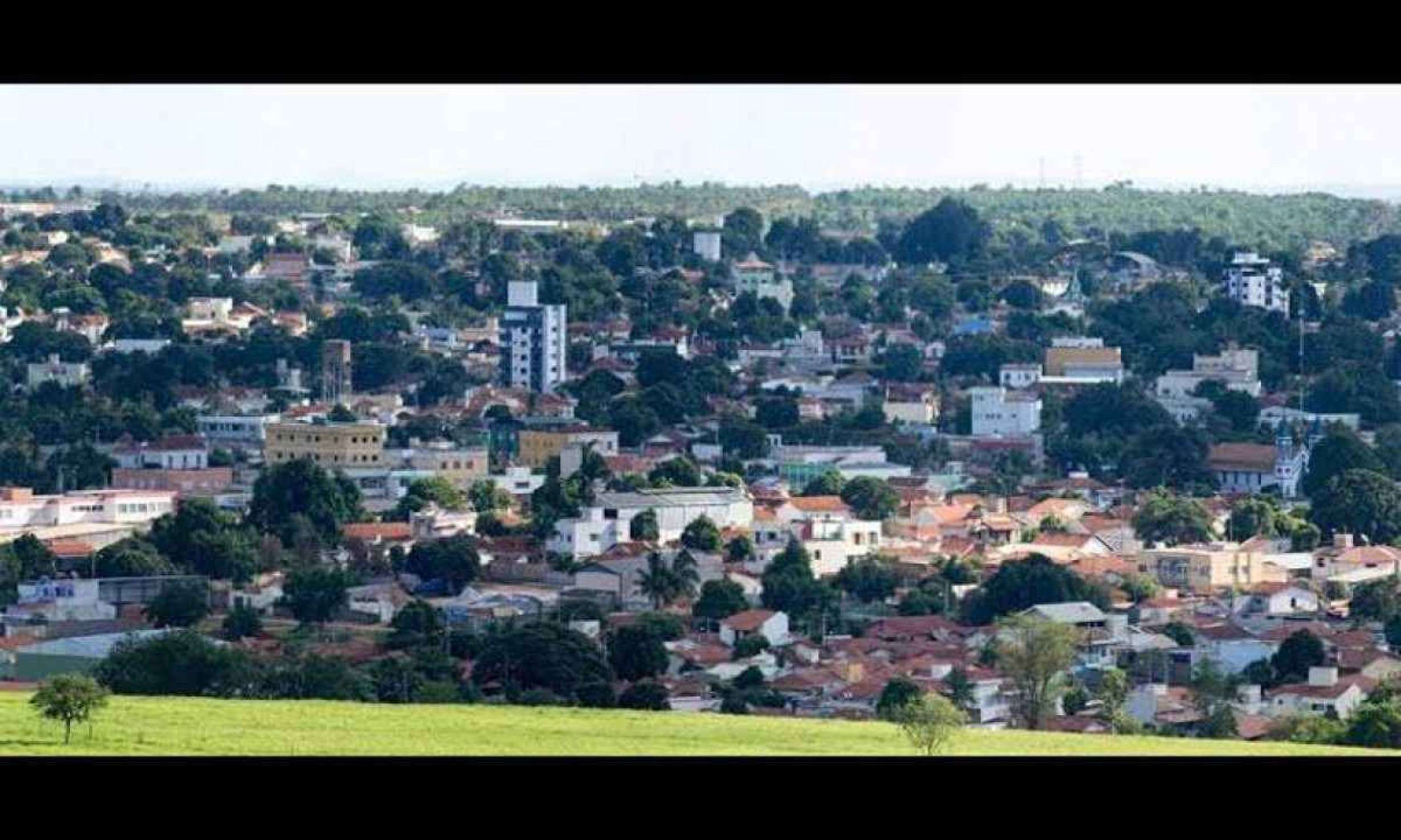 Mulher contrata homem para matar próprio cachorro em Minas