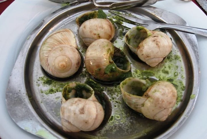 Escargot - Caracóis preparados com manteiga de alho, ervas e vinho branco, uma iguaria francesa apreciada por muitos