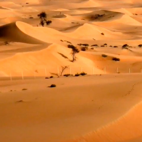 Mundialmente falando, o deserto do Saara, localizado na África, é o maior deserto quente que existe, com 9,2 milhões de quilômetros quadrados de área.