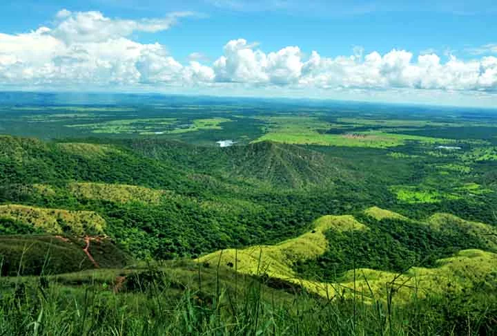  Sua rica flora e sua fauna nativa, em paisagens deslumbrantes, revelam que as belezas naturais do Brasil vão além das praias.