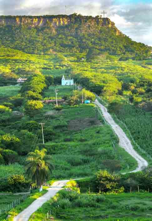 Chapada do Araripe - CE: Localizada na divisa dos estados do Ceará, Pernambuco e Piauí, destaca-se pelos sítios paleontológicos. Quem gosta de história pode conhecer os percursos feitos pelos indígenas Kariri e pelos cangaceiros da época de Lampião.