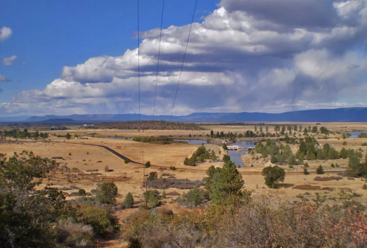 As florestas das montanhas californianas, naturalmente inflamáveis devido à presença de pinheiros ricos em resina e solo coberto por folhas mortas, tornam-se ainda mais vulneráveis pela redução das chuvas nos últimos anos.