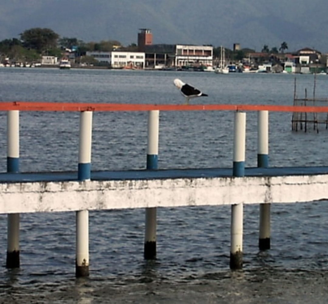 Na maioria das vezes, isso acontece em cidades que são destinos turísticos, como Ilha Comprida, SP (foto), Matinhos (PR), Ilha de Itamaracá (PE), Mangaratiba (RJ) e Saubara (BA).
