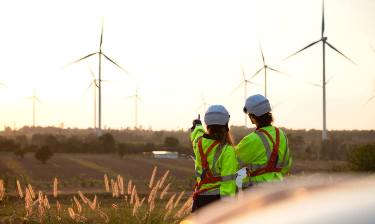 Brasil: 44% das empresas pretendem contratar em 2025 -  (crédito: DINO)